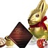 Lindt ждет роста продаж на 6-8% в 2011 году 